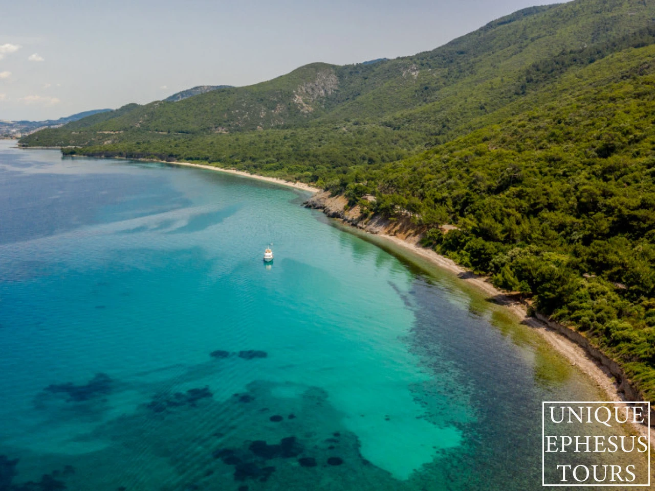 turquoise-sea-and-forest-coast-turkey